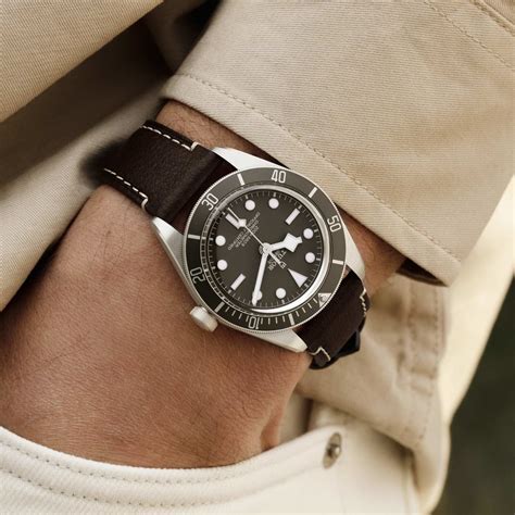 tudor m79010sg